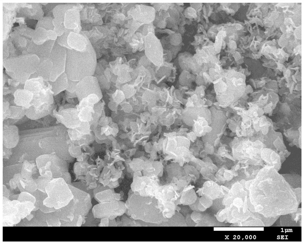 Molybdenum disulfide nanoflowers supported zinc oxide quantum dots and its application in ammonia synthesis electrocatalyst