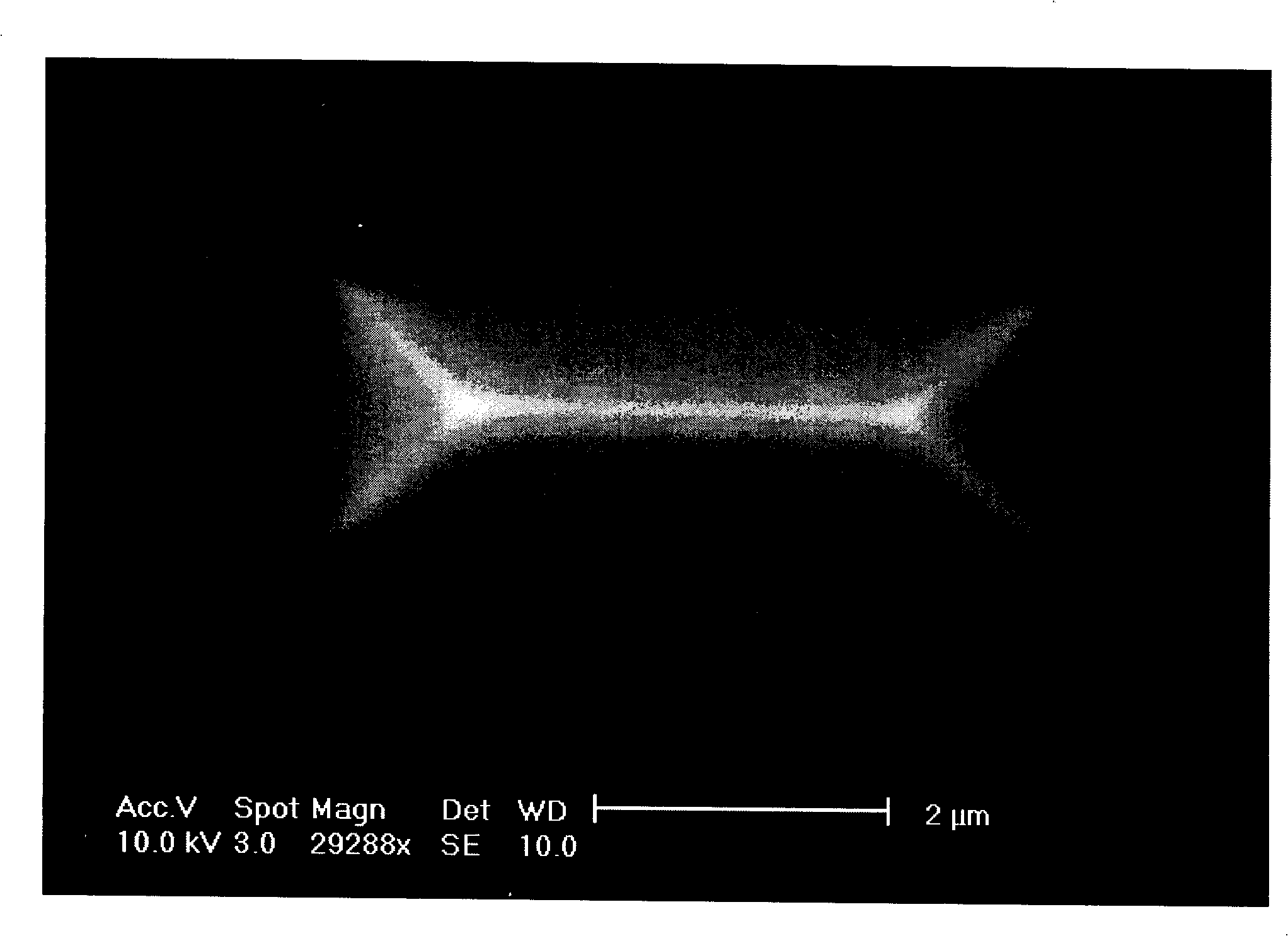 Silicon with three-dimensional hollow structure and method for preparing same