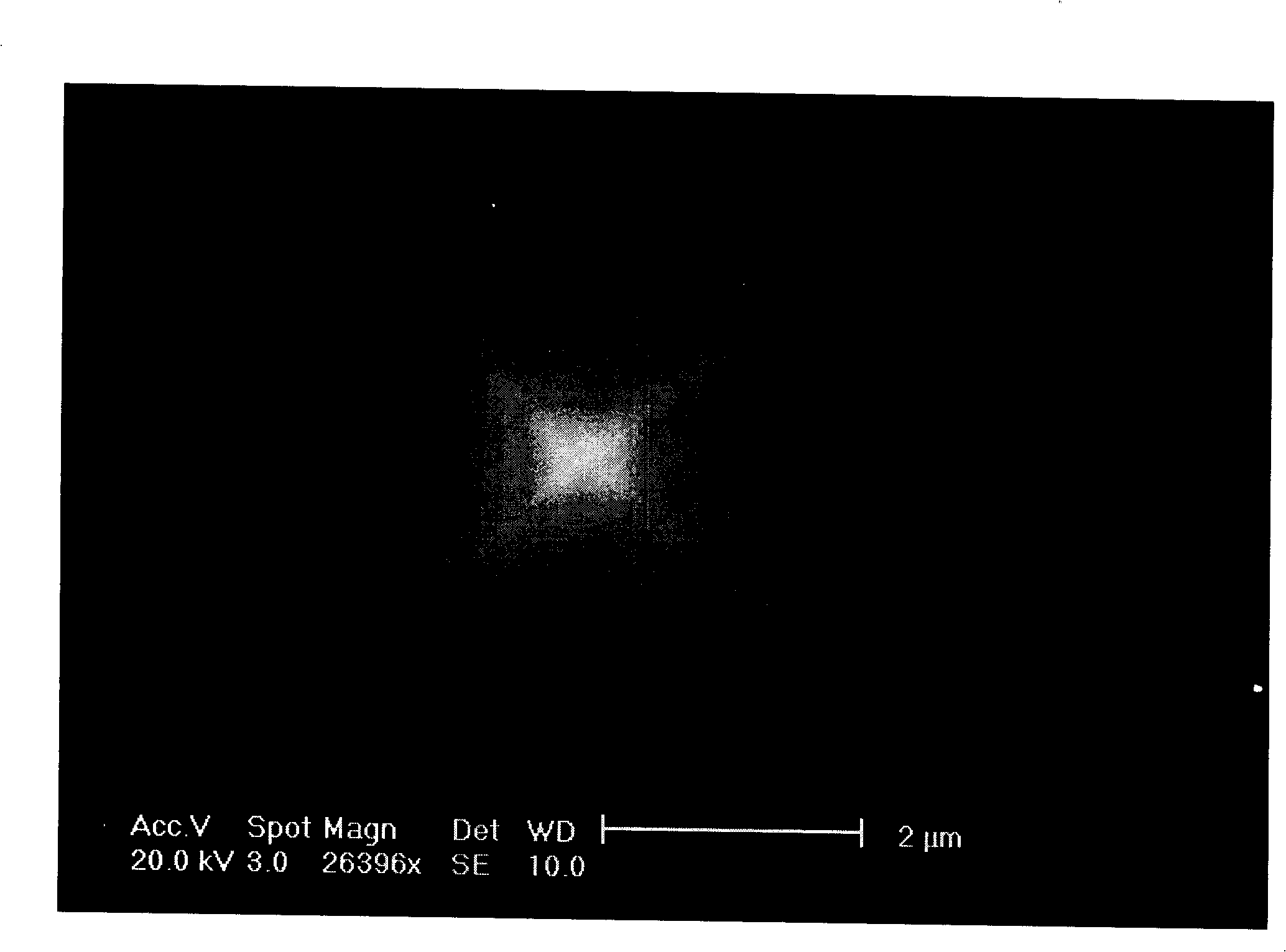 Silicon with three-dimensional hollow structure and method for preparing same