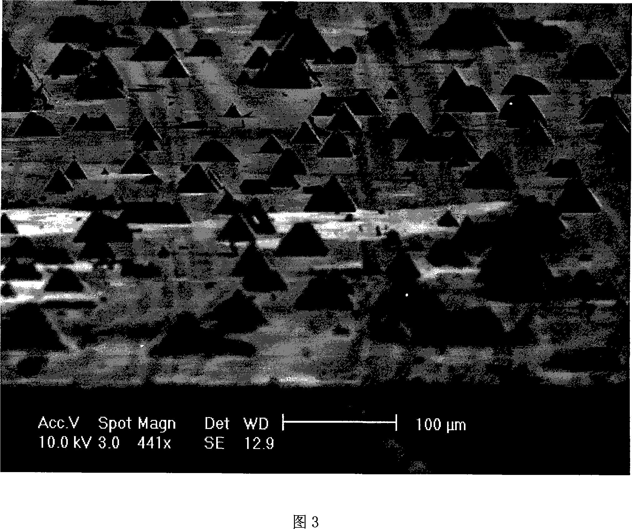 Silicon with three-dimensional hollow structure and method for preparing same