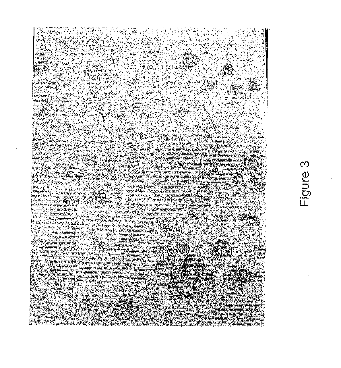 Method for producing molded bodies from sheet steel galvanized on one or both sides