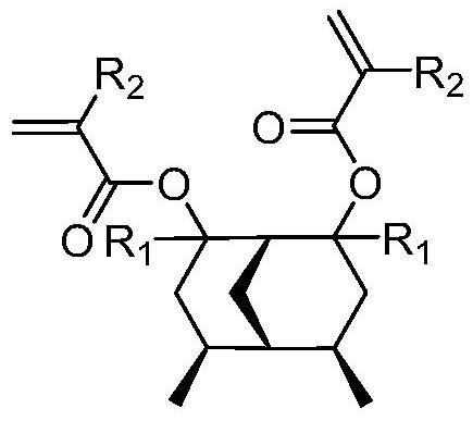 Degradable photoresist resin monomer synthesized from dimethyl bicyclo [3.3.1] nonane diketone and synthesis method of degradable photoresist resin monomer