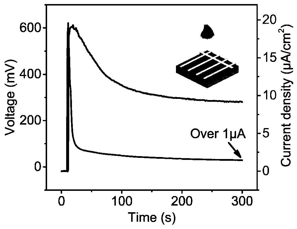 Silicon micro-nano structure-based photovoltaic device and preparation method and application thereof