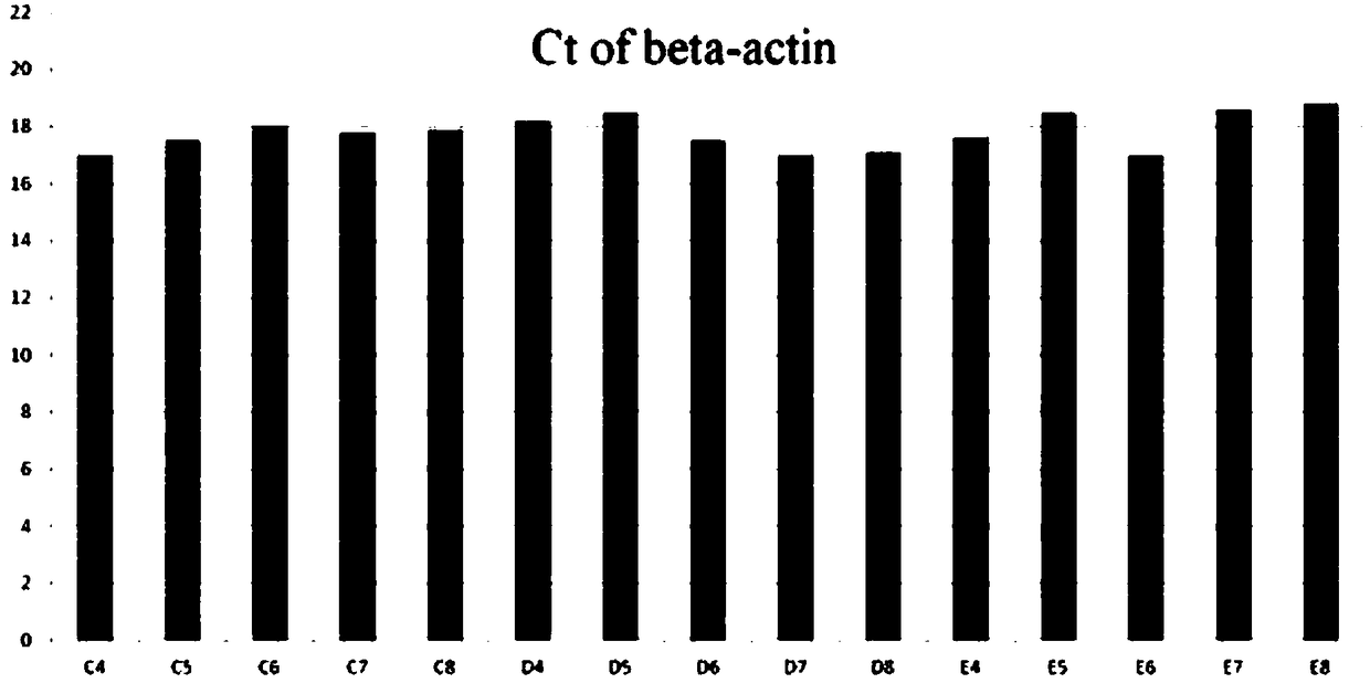 Cell cDNA chip, preparation method and application thereof