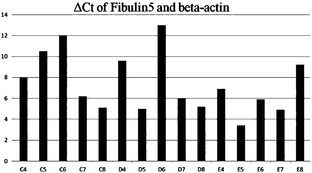 Cell cDNA chip, preparation method and application thereof