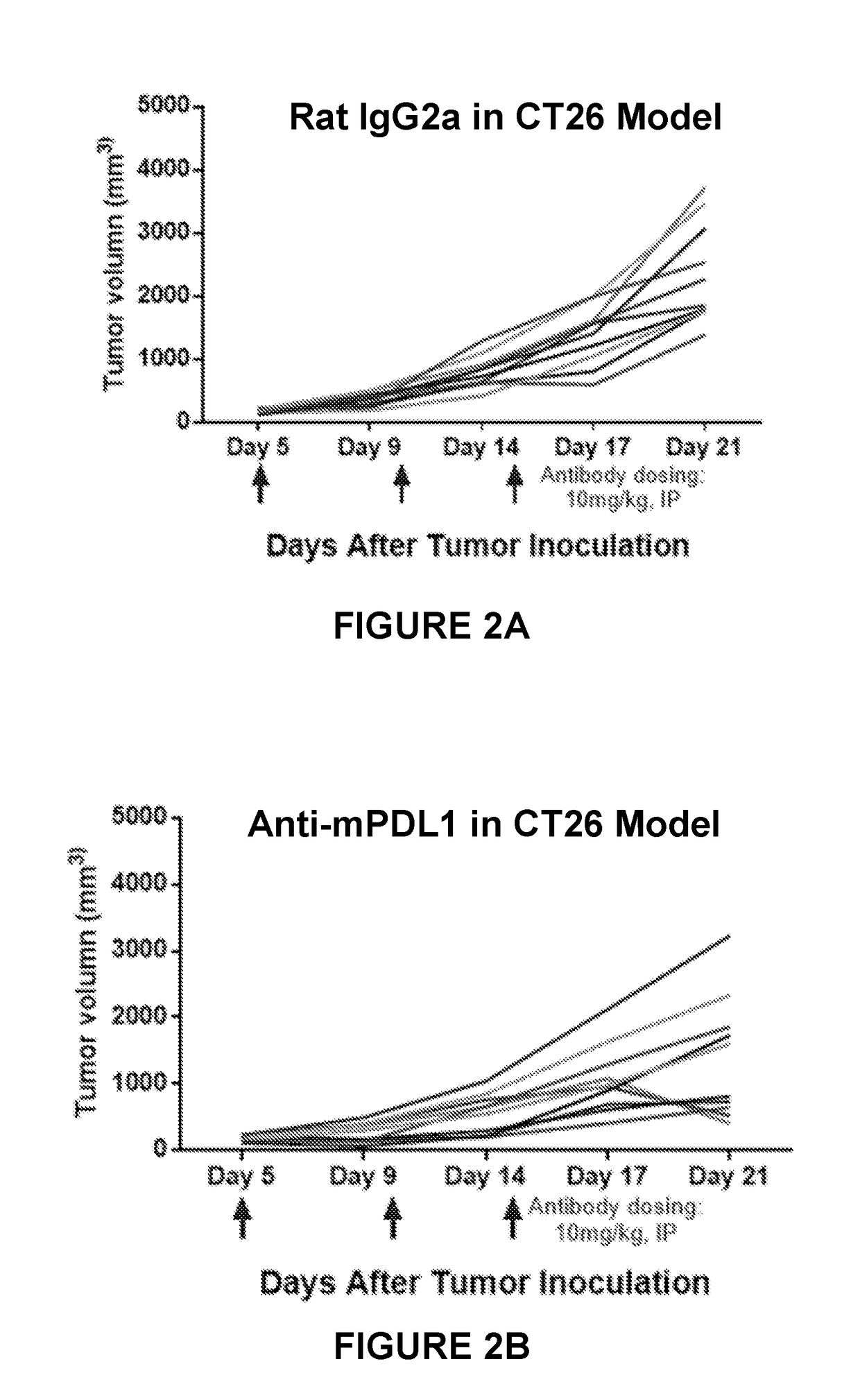 Combination of a PD-1 Axis Binding Antagonist and an ALK Inhibitor for Treating ALK-Negative Cancer