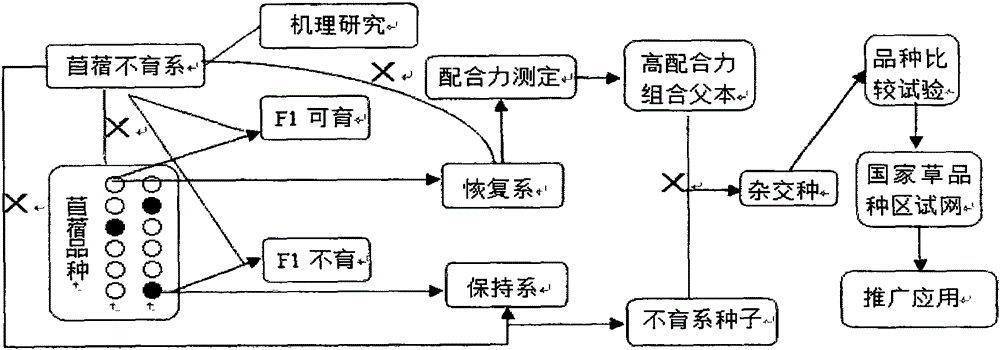 Breeding method for complete set line of alfalfa three lines
