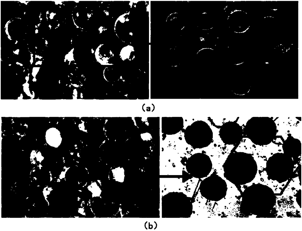 A method of monolayer array of diatom frustule particles