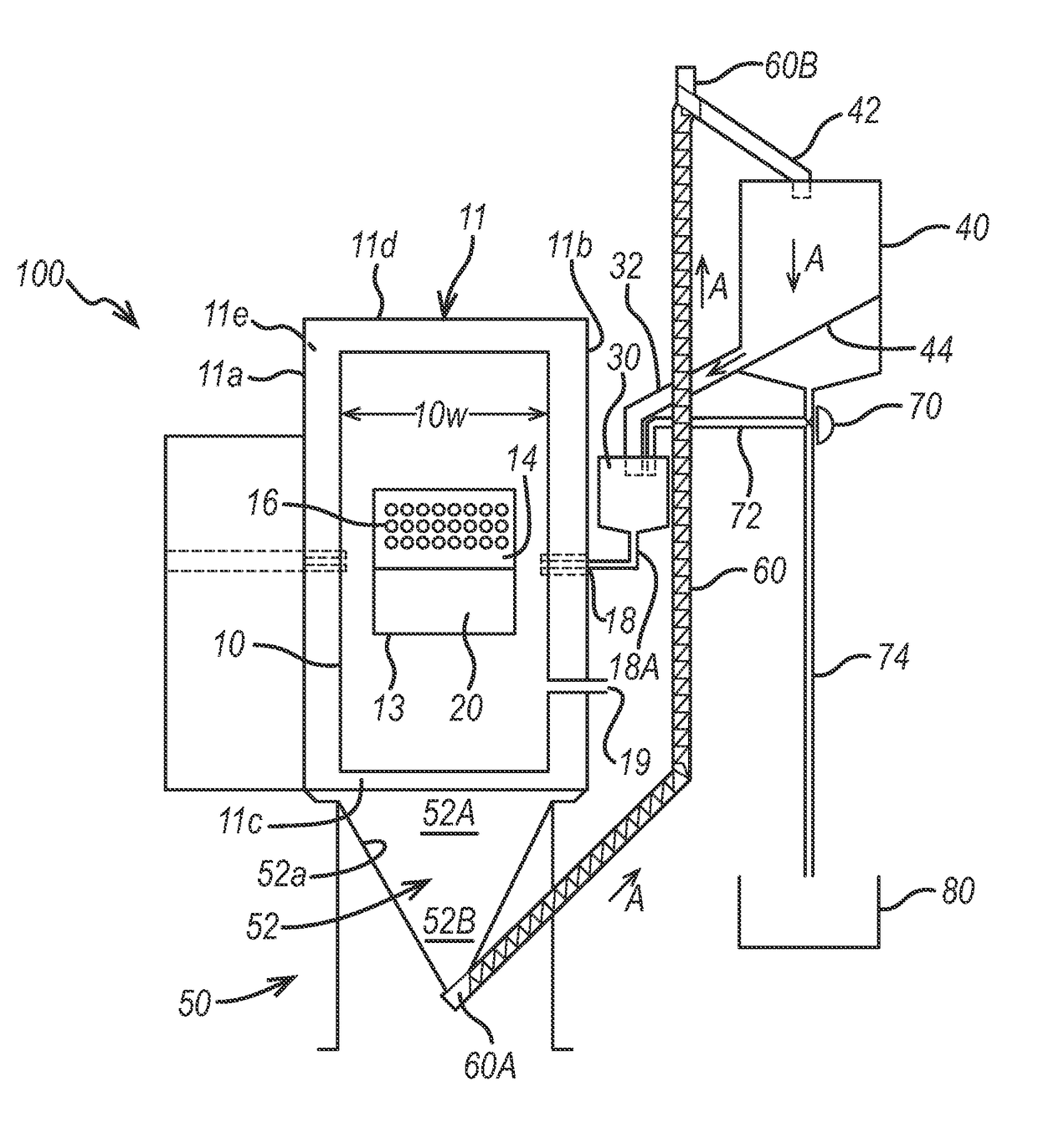 Animal skin substrate treatment apparatus and method