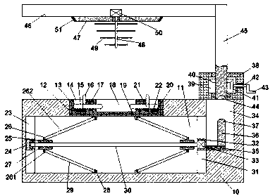 Production system of organic compound nutritious fish feeds