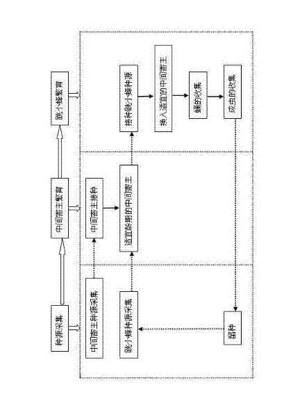 Artificial propagation method of diversinervus elegans silvestri