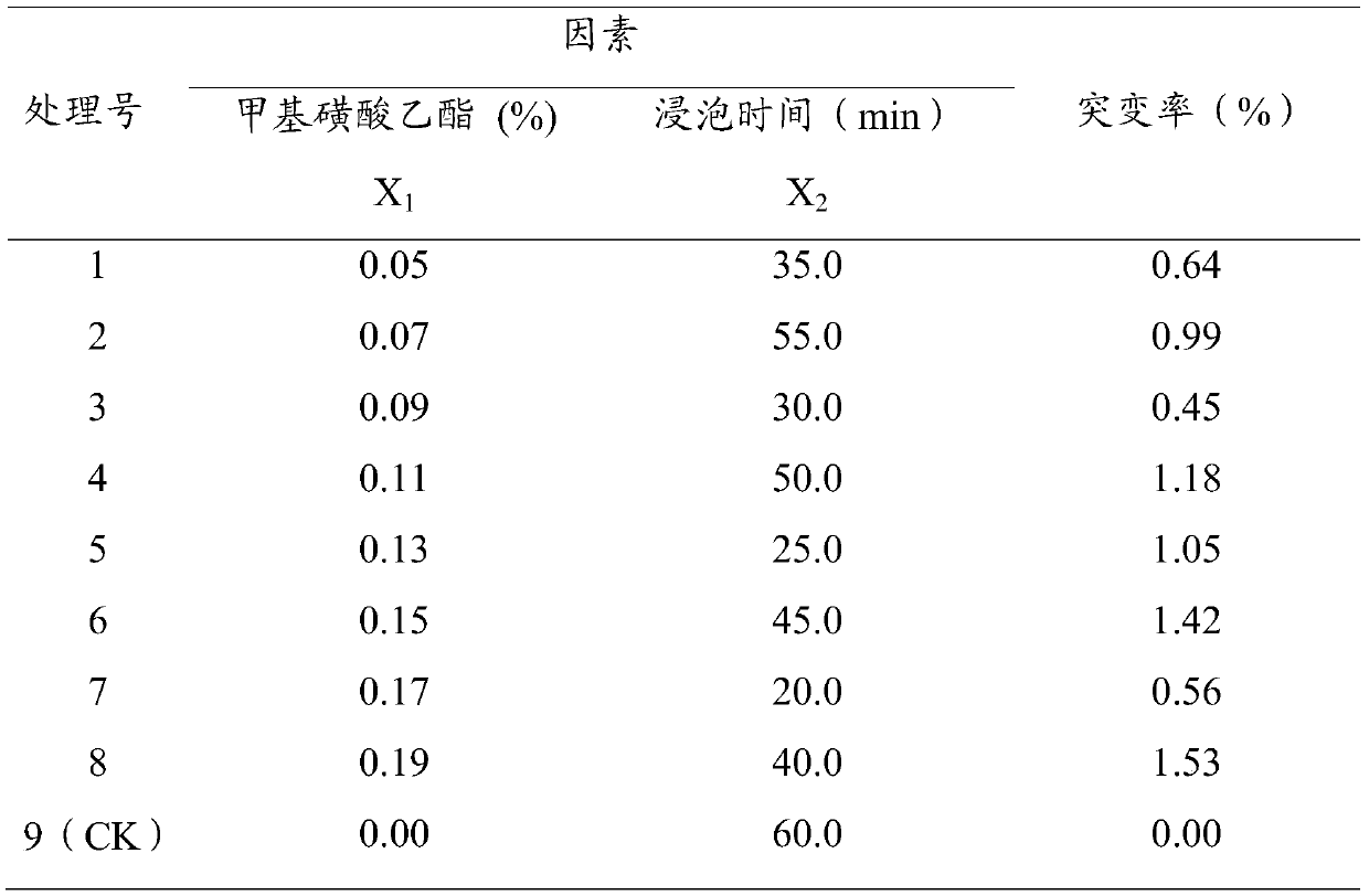 Method for culturing new variety of smilax riparia with tissue mutation of flower stalks