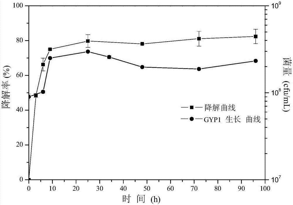 Burkholderia GYP1 and application thereof in degrading brominated flame retardant