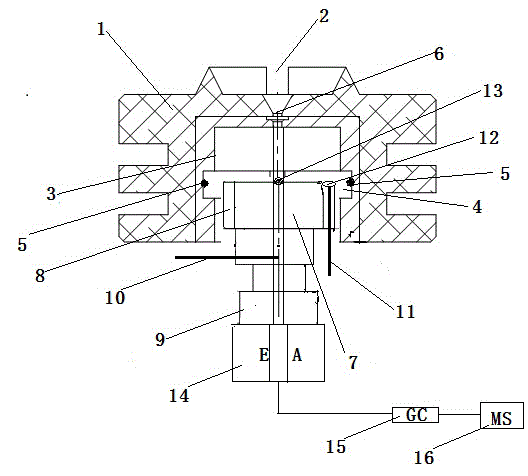 Needle-type sample injection cap