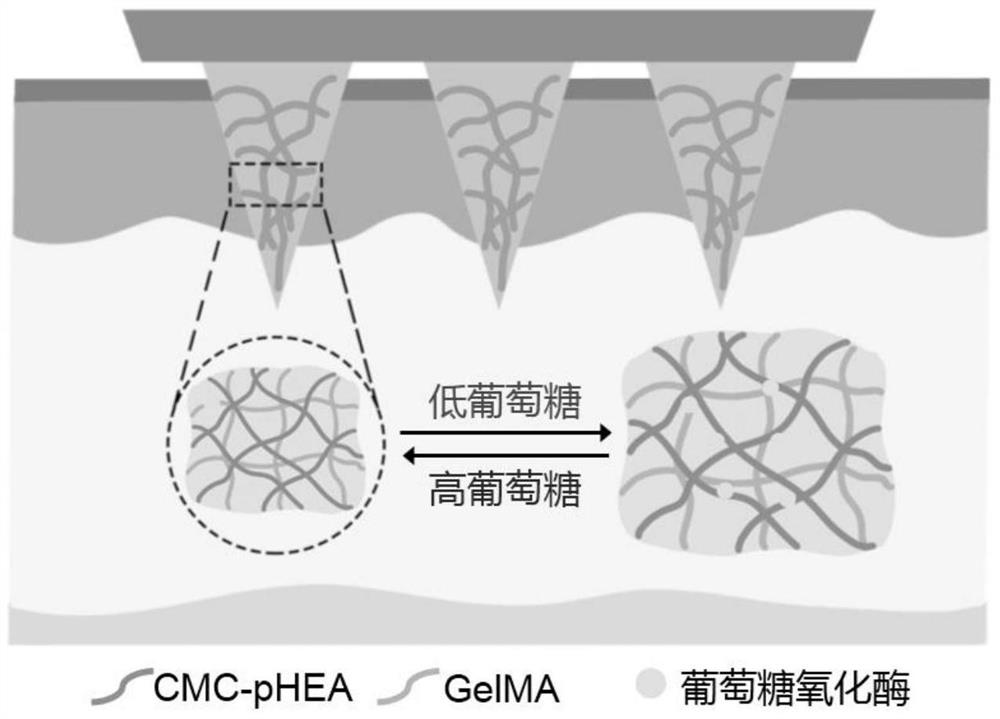 Hydrogel microneedle patch for noninvasive blood glucose detection as well as preparation method and application of hydrogel microneedle patch