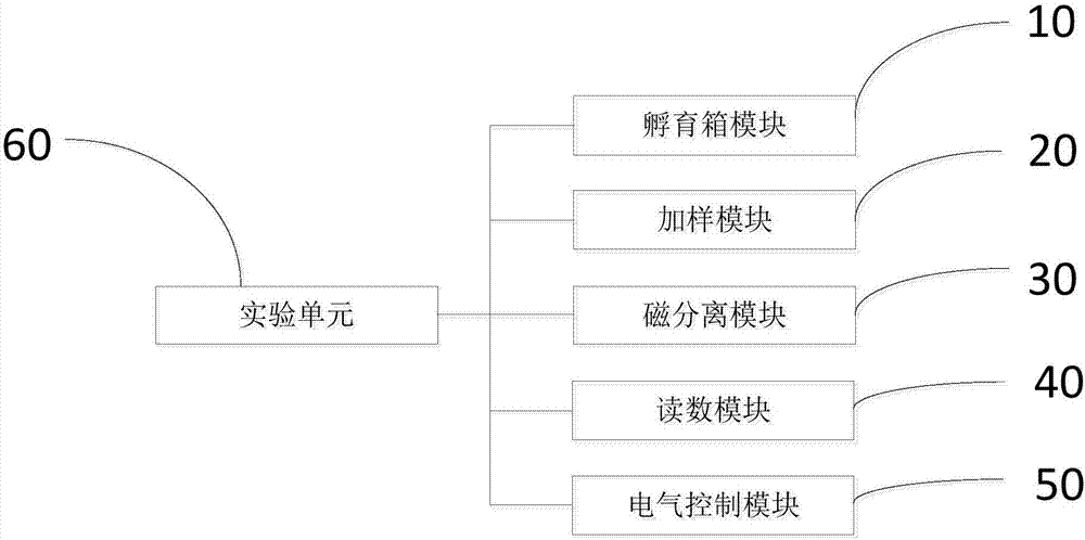 Chemiluminescence immunity analyzer