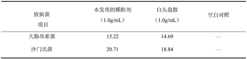 A traditional Chinese medicine composition for treating young animal dysentery and its preparation method and application