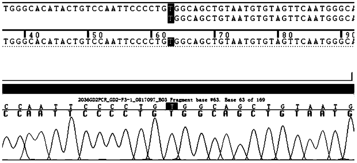 A kind of abacavir individualized drug detection kit and method thereof