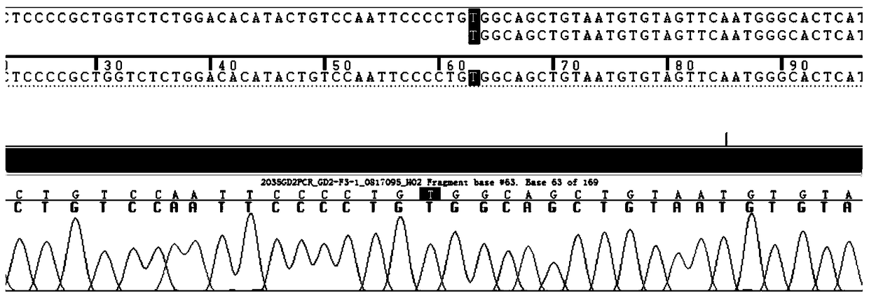 A kind of abacavir individualized drug detection kit and method thereof