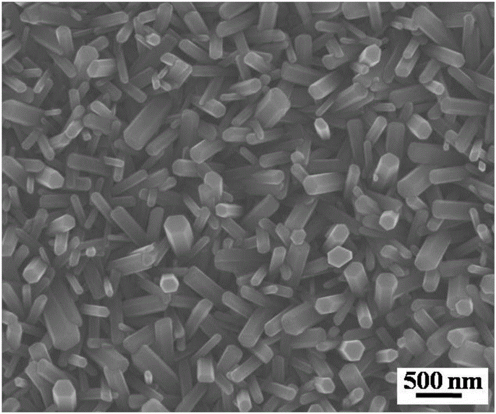 Construction and application of multilevel structure ZnO@Au@ZIF-8 compound photoelectrode