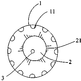 Raisin fringe-removing threshing drum