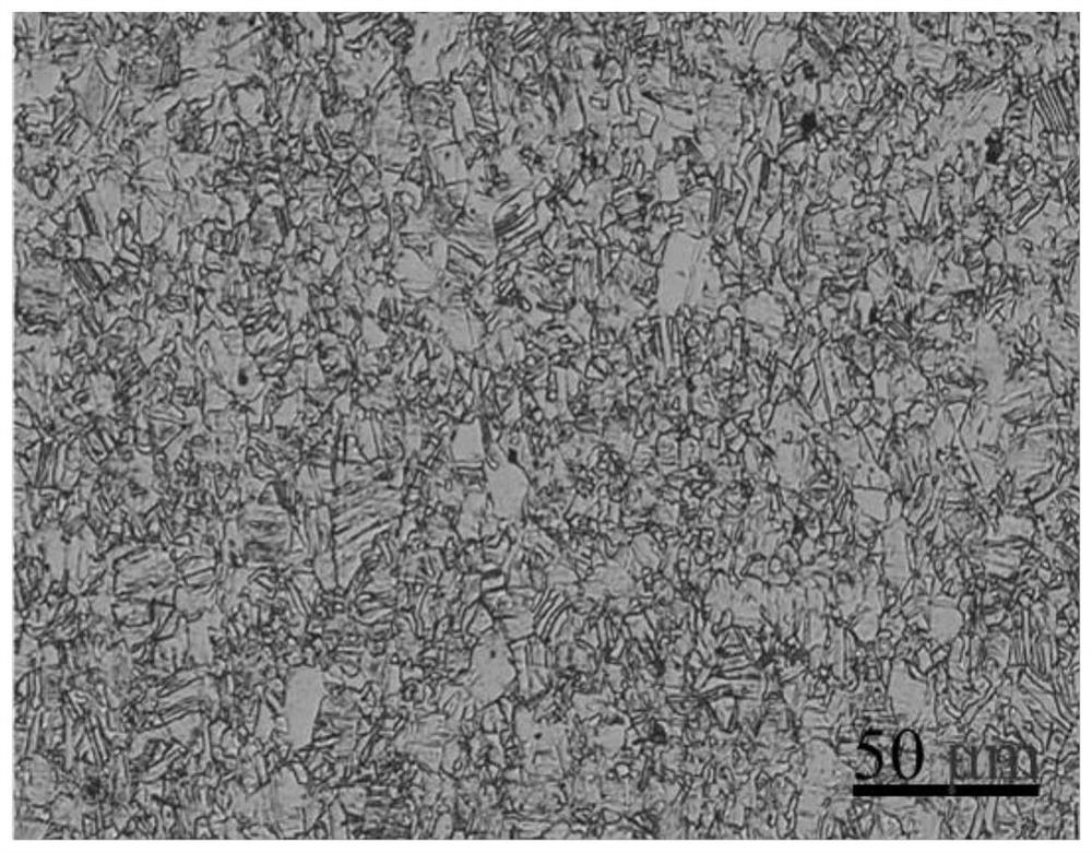 Preparation method of high-strength and high-toughness CrCoNi medium-entropy alloy homogeneous fine-grain thin plate
