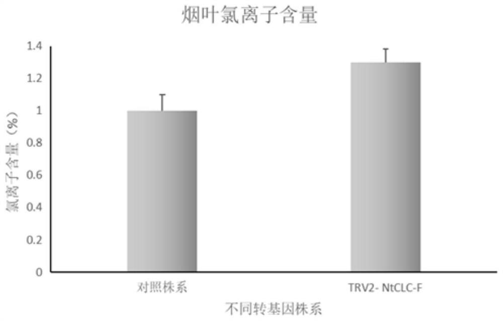 Tobacco chloride ion channel protein gene NtCLC-F and application thereof