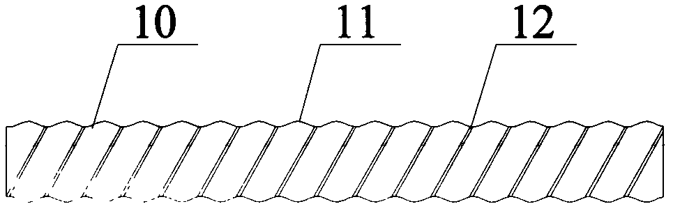 Fiber reinforced polymer (FRP) tendon and stainless steel tube composite and preparation technology thereof