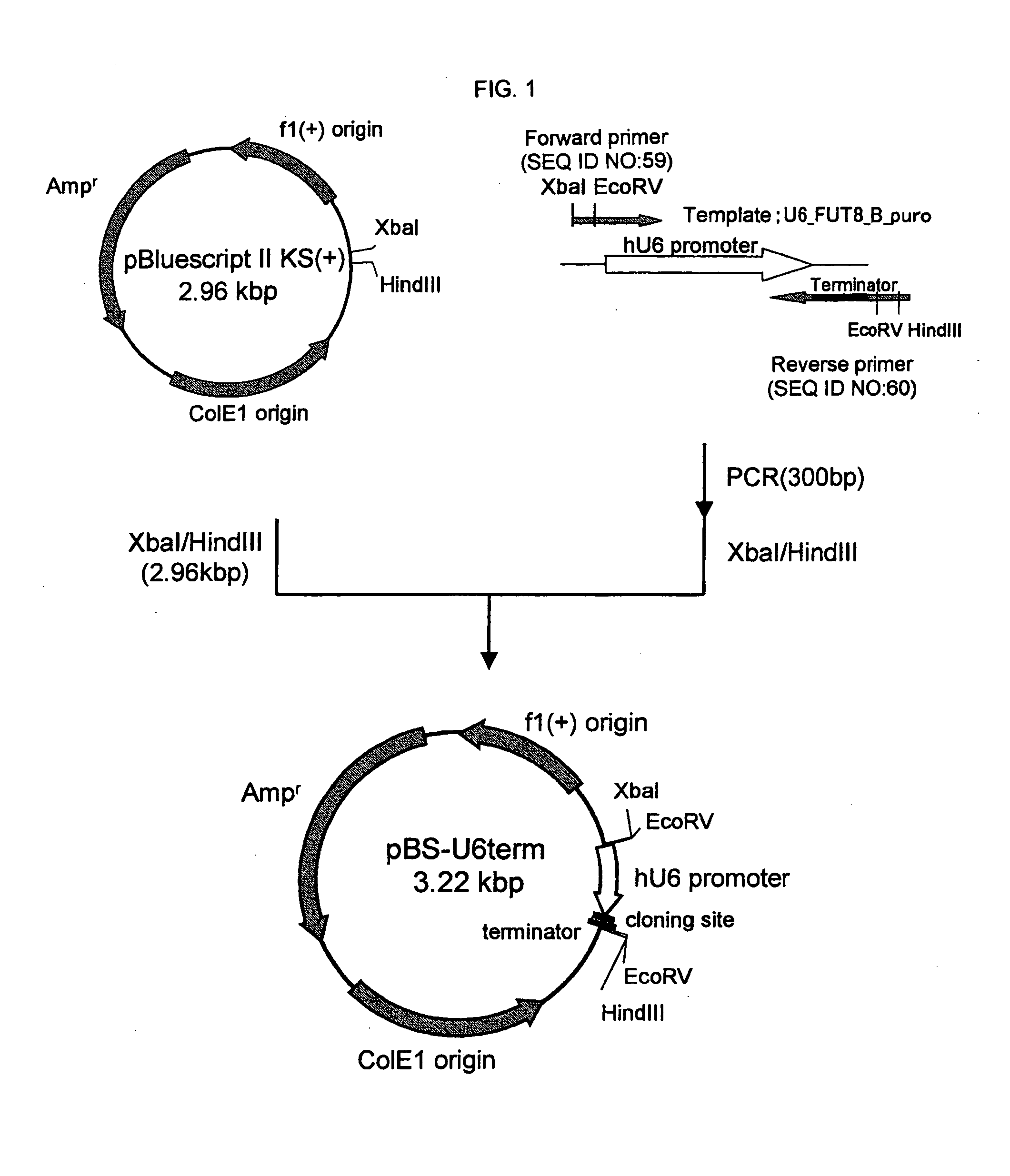 Process for producing glycoprotein composition