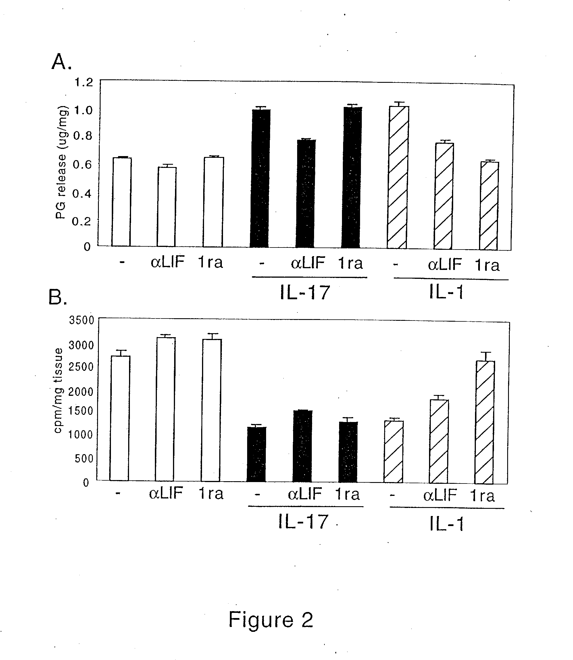 Use of il-17 antibody for the treatment of cartilage damaged by osteoarthritis