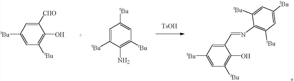 A kind of Schiff base magnesium organic metal compound and its preparation method and application