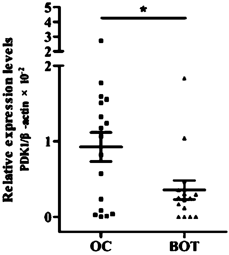 Ovarian cancer diagnosis or prognosis composition and application thereof