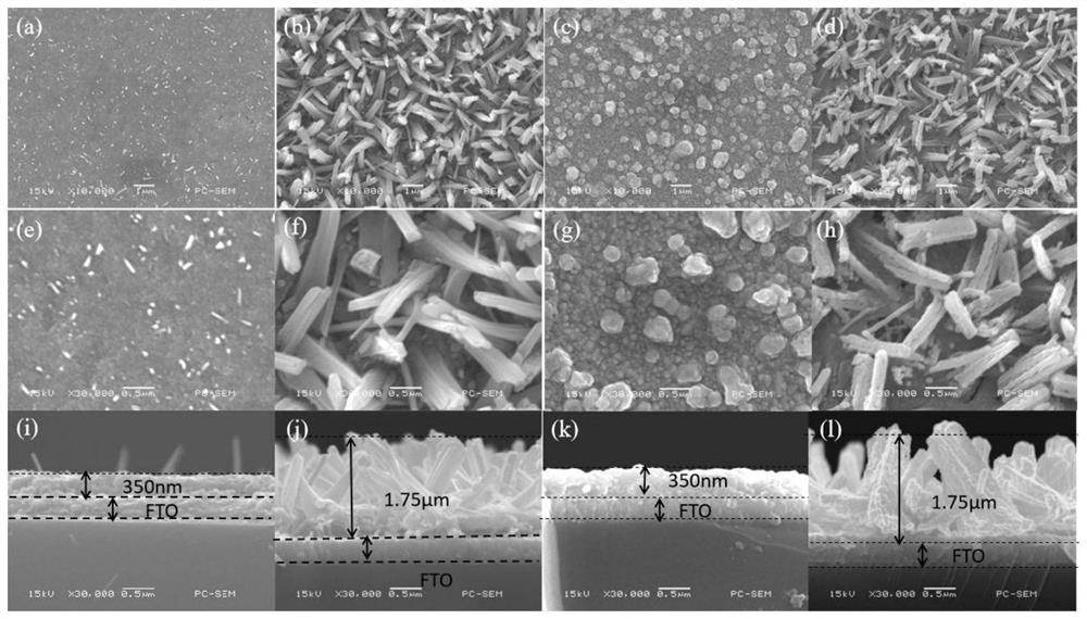 Method for preparing iron oxide photoanode under combined action of oxalic acid and tetrabutyl titanate