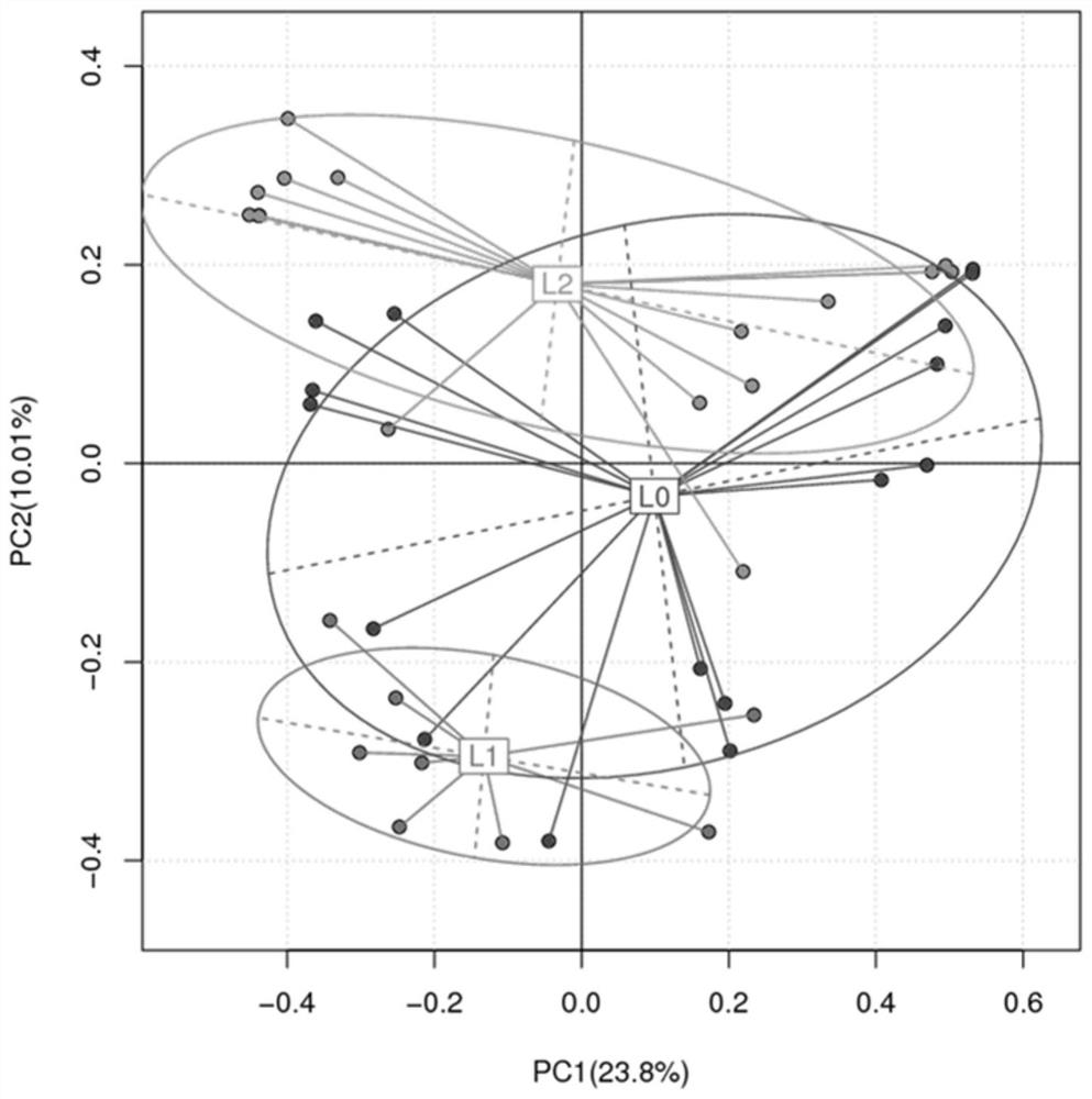 Preparation technology and use of suitable microecological microbial agent for individually solving continuous cropping obstacles of strawberries