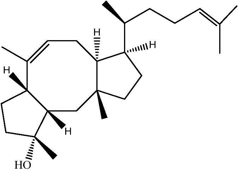 Ophiobolin compound mother nucleus synthetic gene AuOS and application thereof