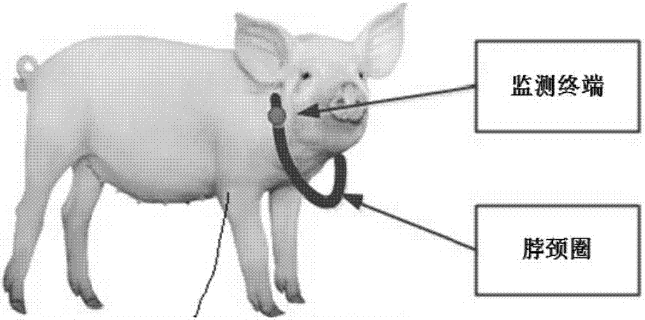 Real-time online monitoring system based on LoRaWAN for biological features of livestock