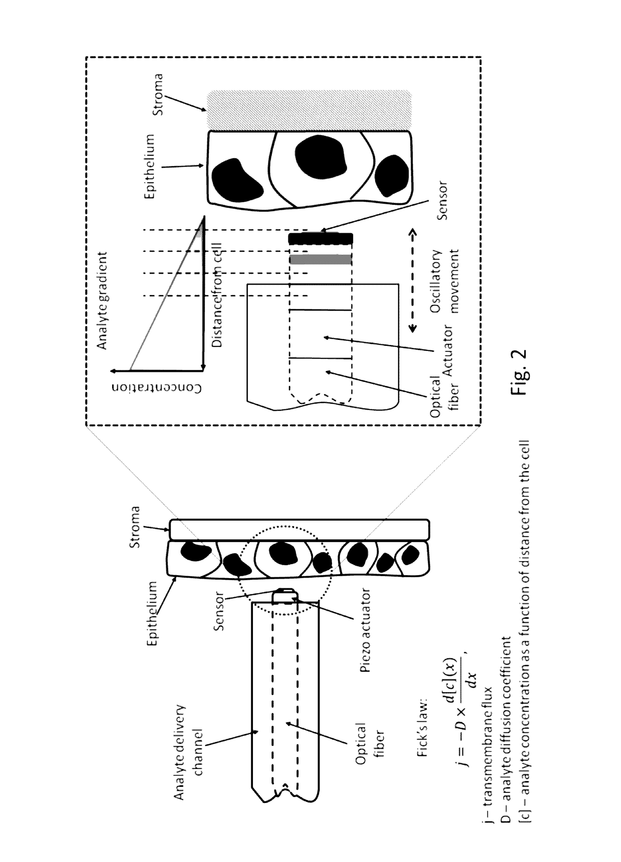 Endoscope for analyte consumption rate determination with single cell resolution for in vivo applications