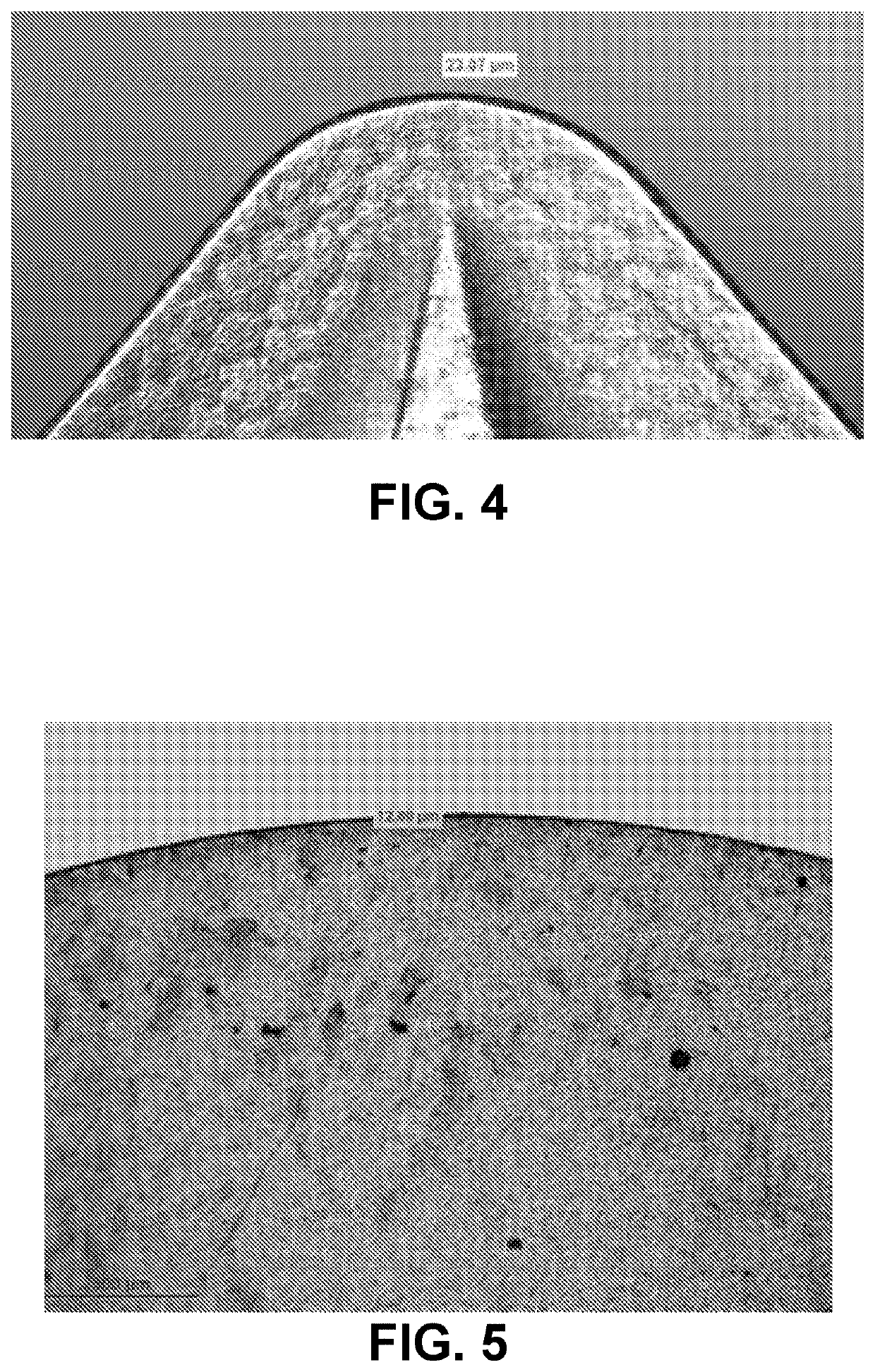 Nanostructured metallic layer on carbide for improved coating adhesion