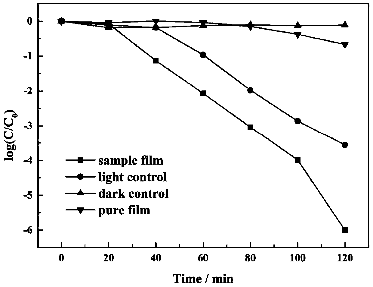 Bactericidal gas-permeable film as well as preparation method and application thereof