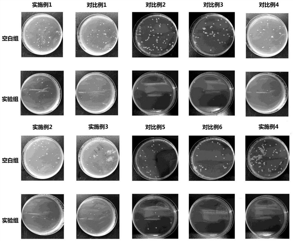 Fig peel extract bacteriostatic ointment and preparation method thereof