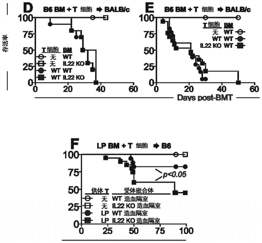 Methods of use for IL-22 in treatment of gastrointestinal graft vs. host disease