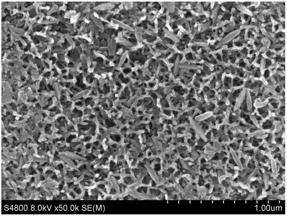 Method for growing titanium dioxide nano-particles on surface of titanium or titanium alloy substrate
