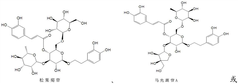 Use of phenylpropanoid glycosides in the preparation of ido inhibitors