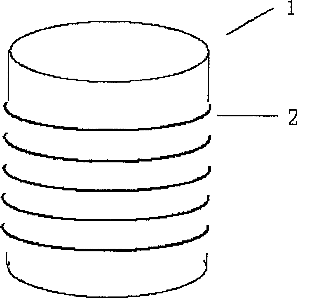 Audio frequency magnetic conducted connection and connector thereof