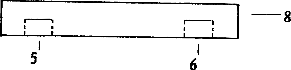 Audio frequency magnetic conducted connection and connector thereof