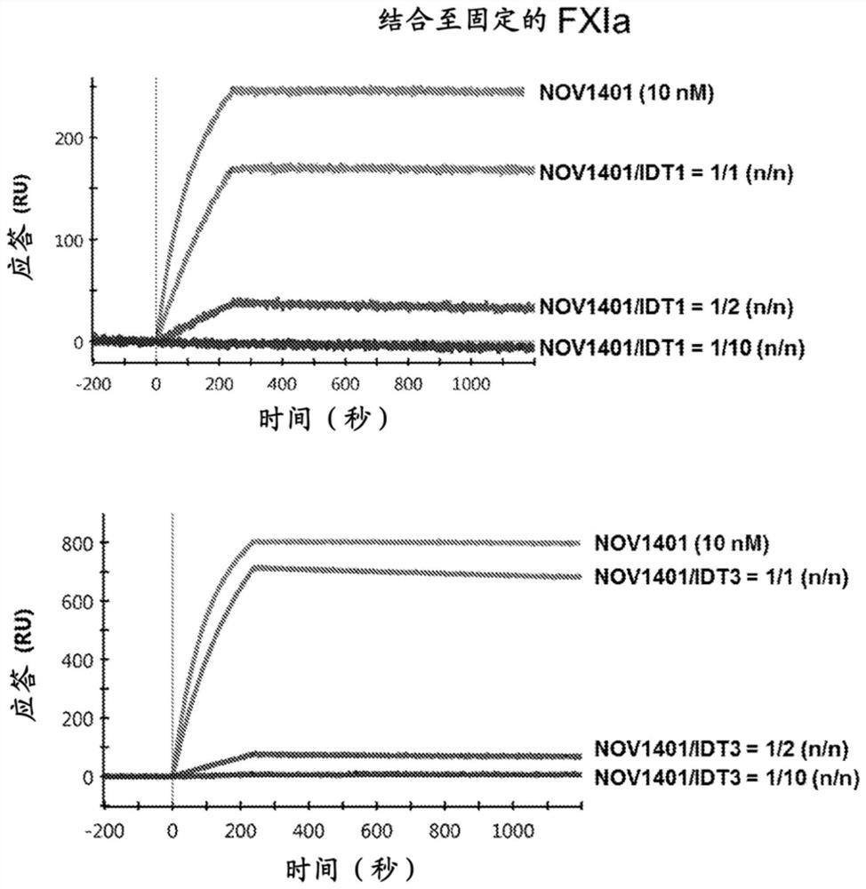 Reversal binding agents for anti-factor XI/XIA antibodies and uses thereof