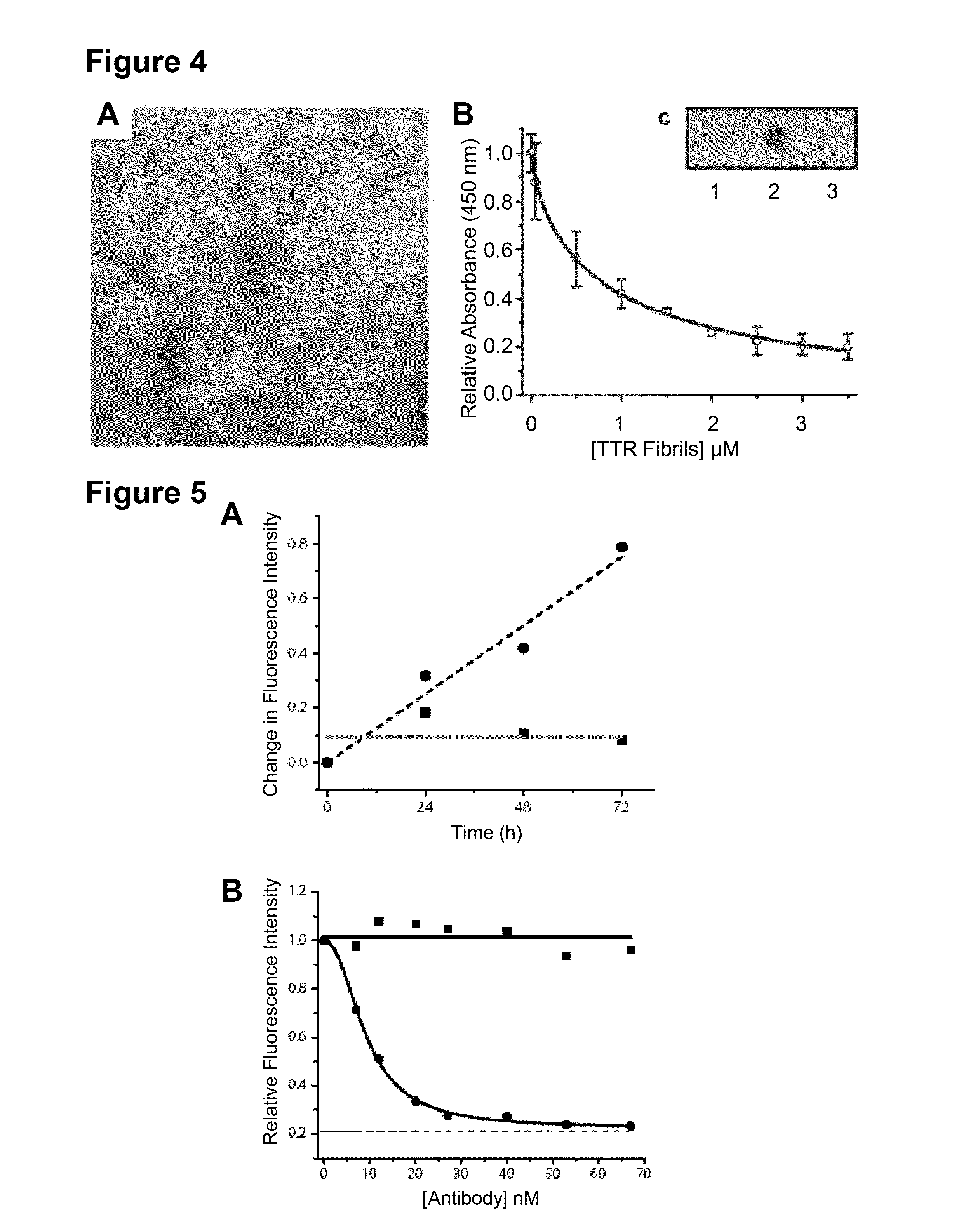 Antibodies to TTR and Methods of Use