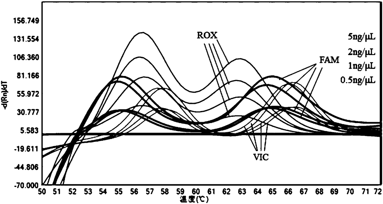 Human MTHFR and MTRR gene detection kit and application thereof