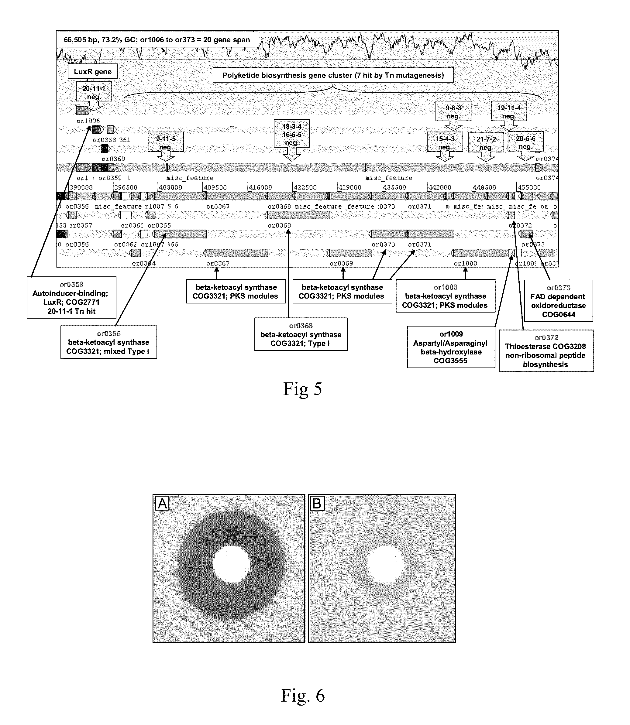 Antimicrobial agent and method for the production thereof