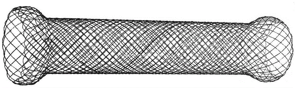 Nano gold film memory alloy esophageal stent and preparation method thereof